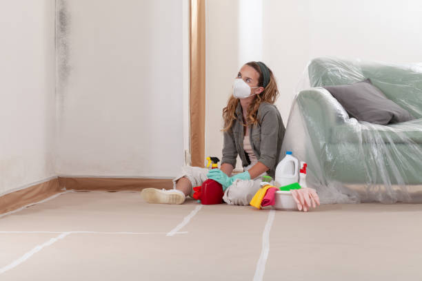 Reliable Mold Removal contractor in Thompsonville, PA by WQB Mold Removal